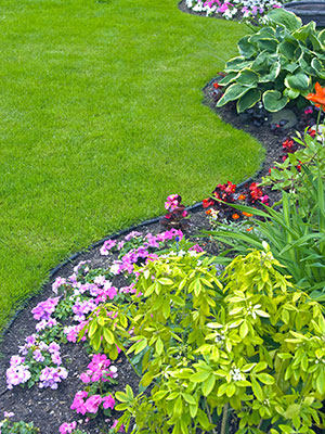 Garden and Lawn Landscaping